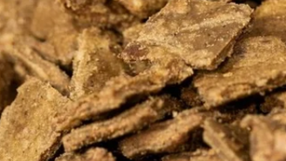 犬用ジウィピーク エアドライの薄い正方形状の粒
